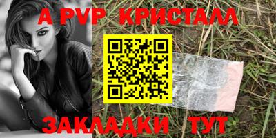 прущие крисы Кингисепп