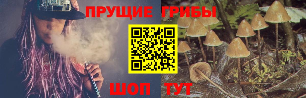 Гулькевичи  Галлюциногенные грибы Psilocybine cubensis  Вход с VPN 